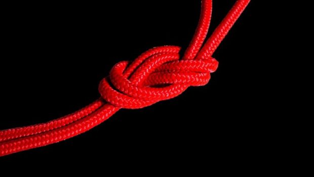 重要性を増す、エージェンシーとSSPの緊密な関係